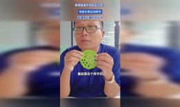 导游小黑视频爆料,视频爆料背后的真实故事